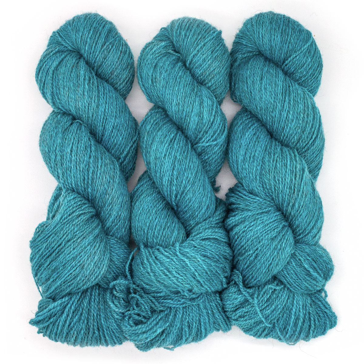 100g BFL Masham