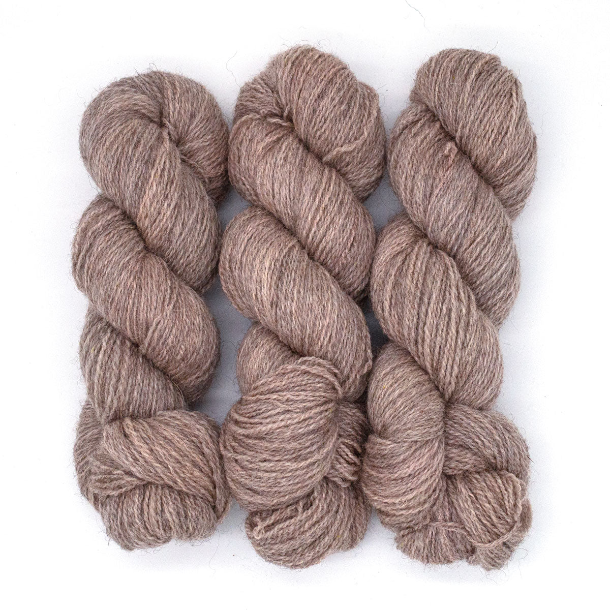100g BFL Masham