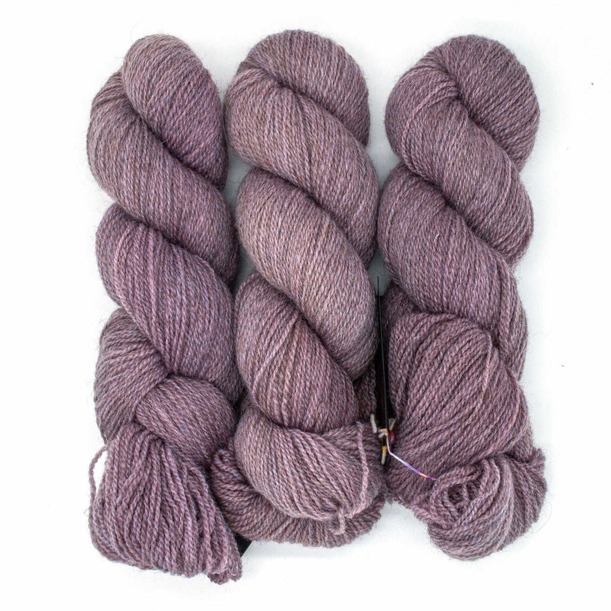 100g BFL Masham