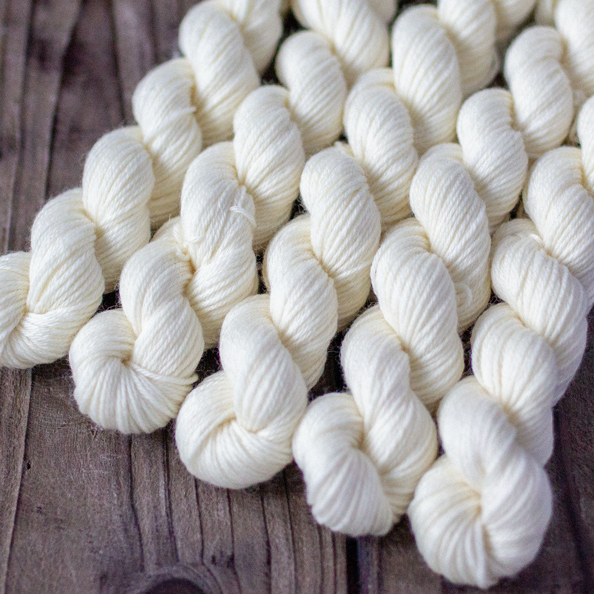 Auftragsfärbung MINI PEGASUS - 5 bis 14 Tage Lieferzeit