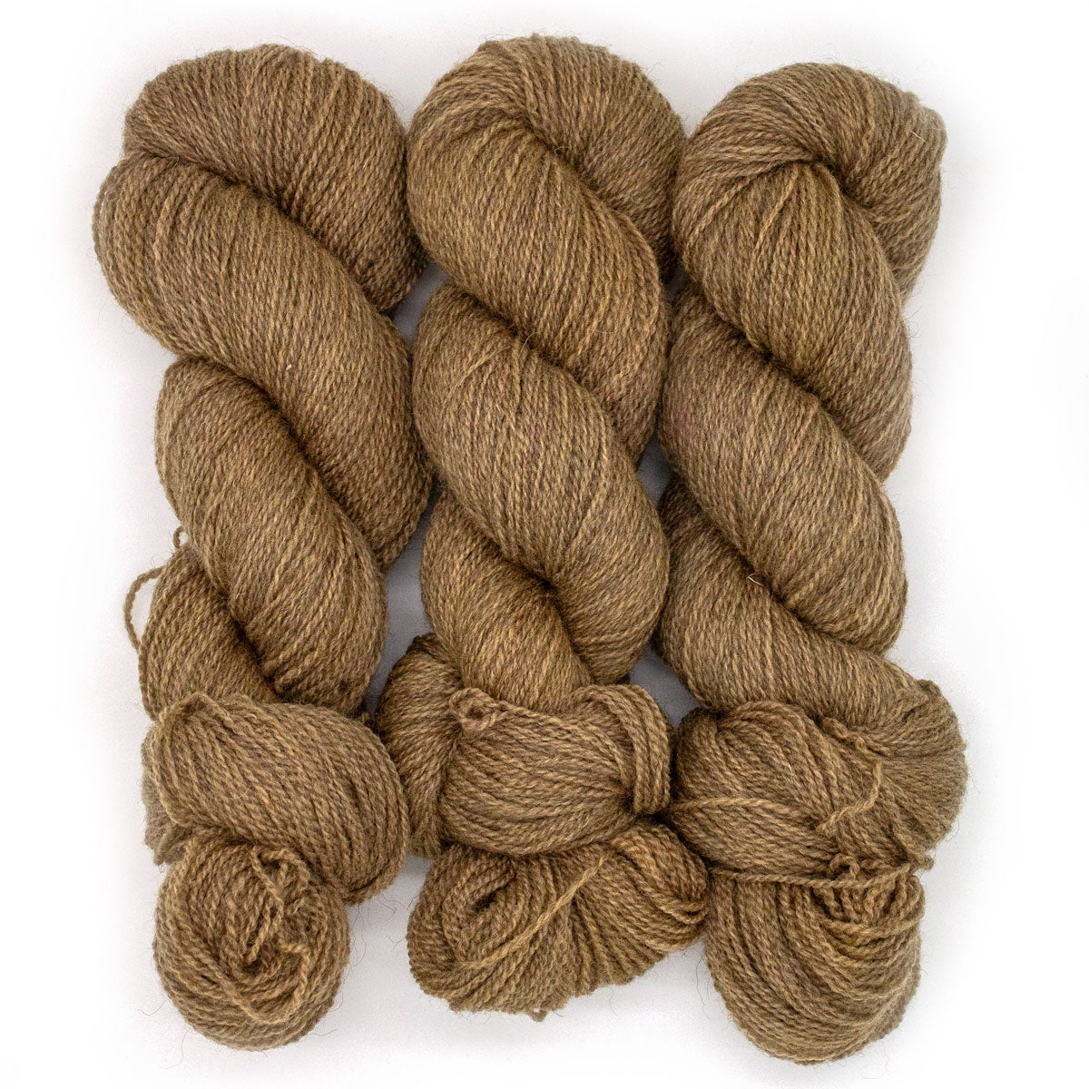100g BFL Masham