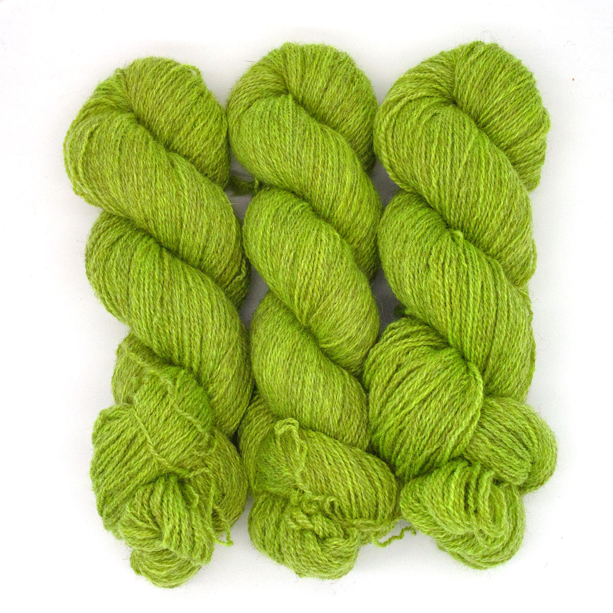 100g BFL Masham