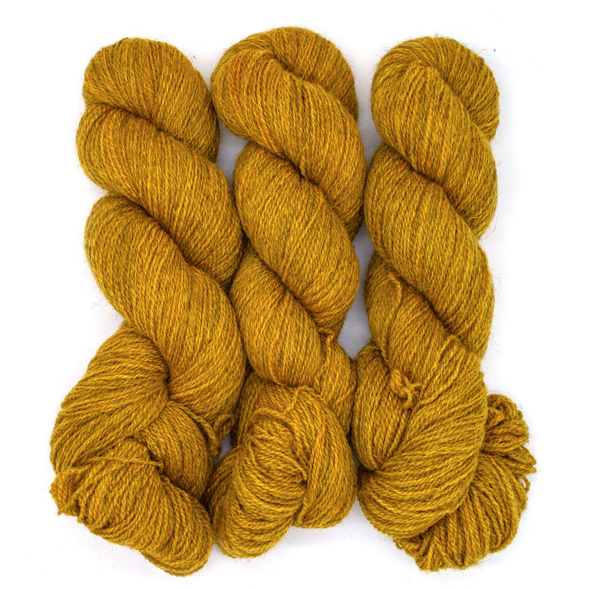100g BFL Masham