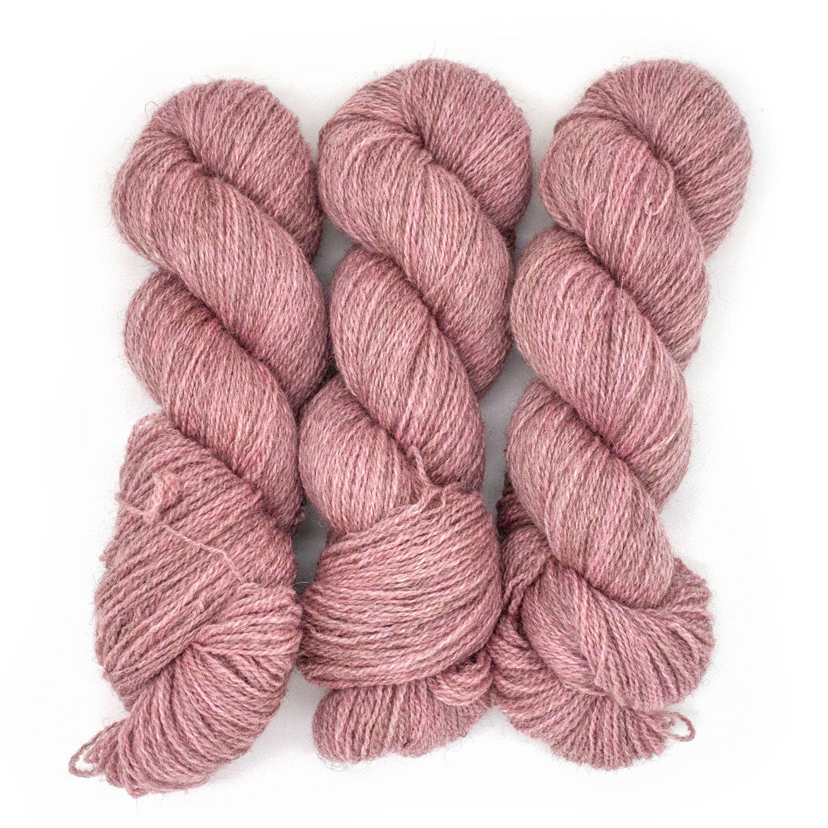 100g BFL Masham