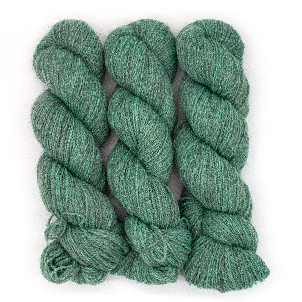 100g BFL Masham