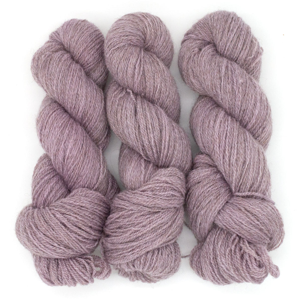 100g BFL Masham