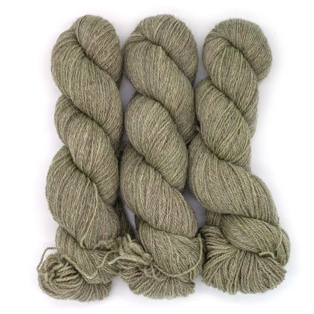 100g BFL Masham