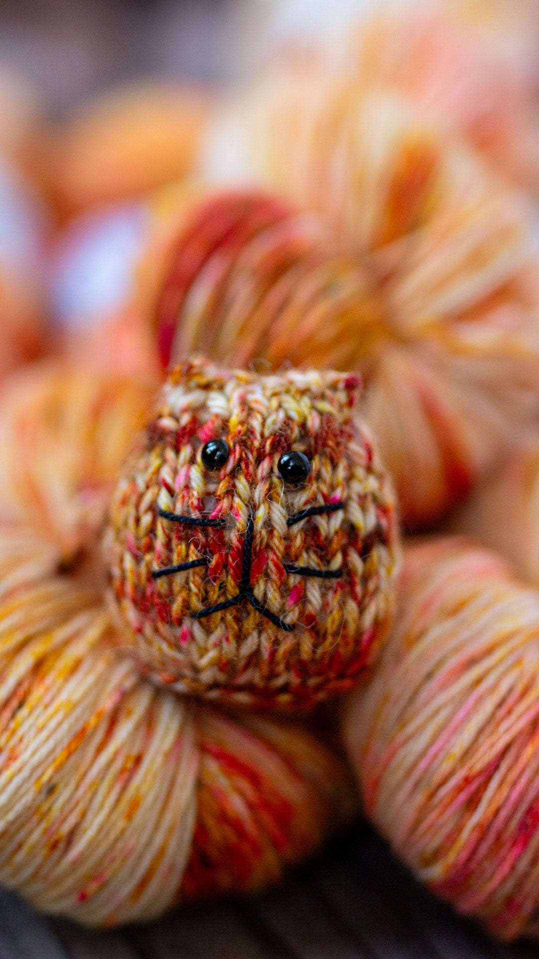 CATWORK ORANGE - November Colorway 2025
