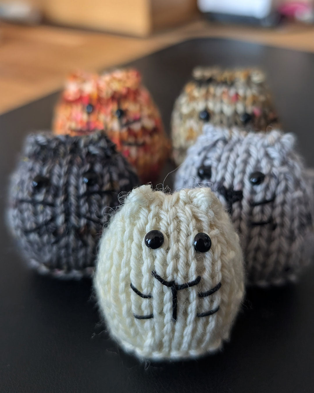 MINI CATS Set