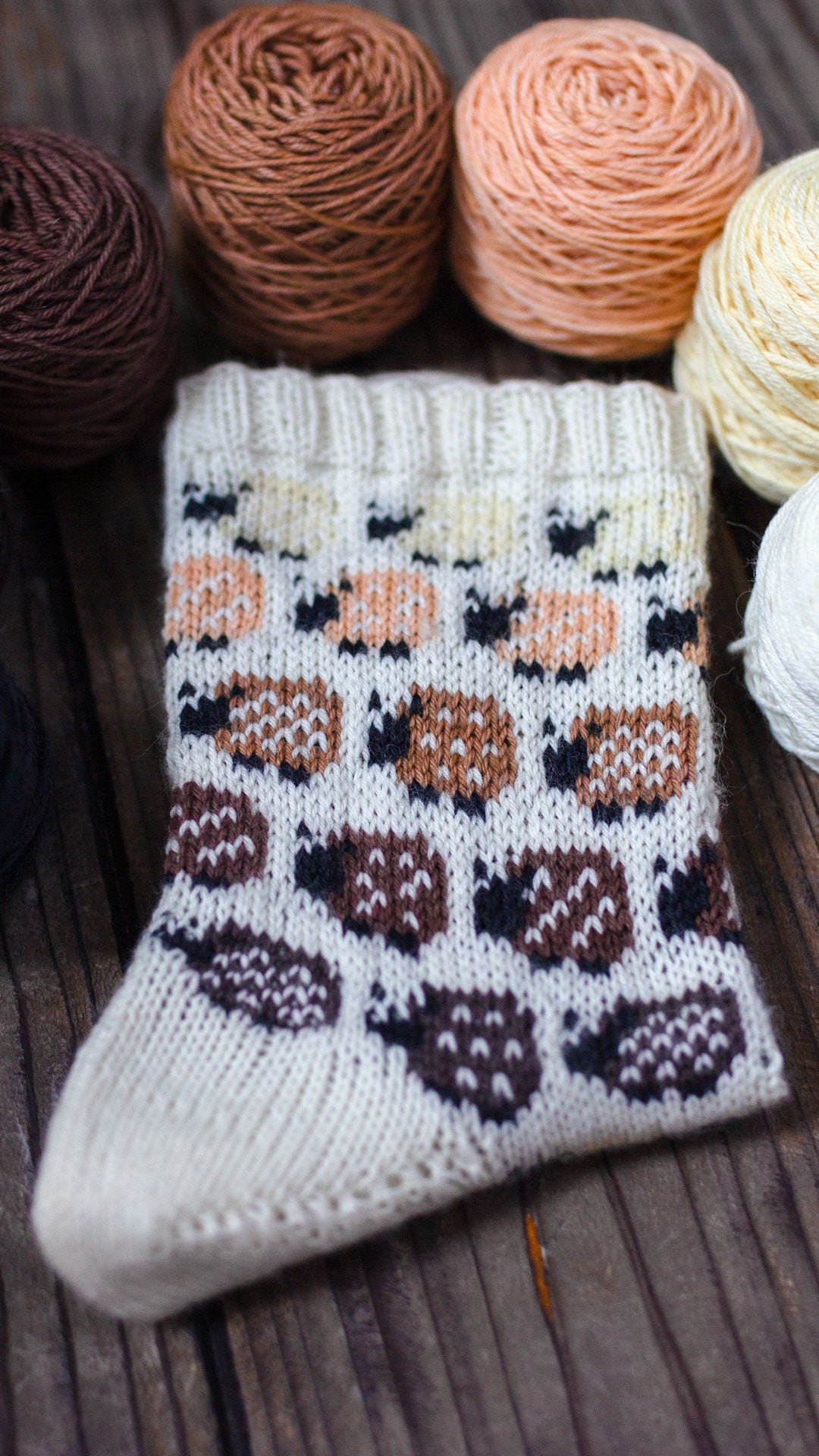 Chocolate Minis - 5 x 20g Mini Socks + extra Schoki