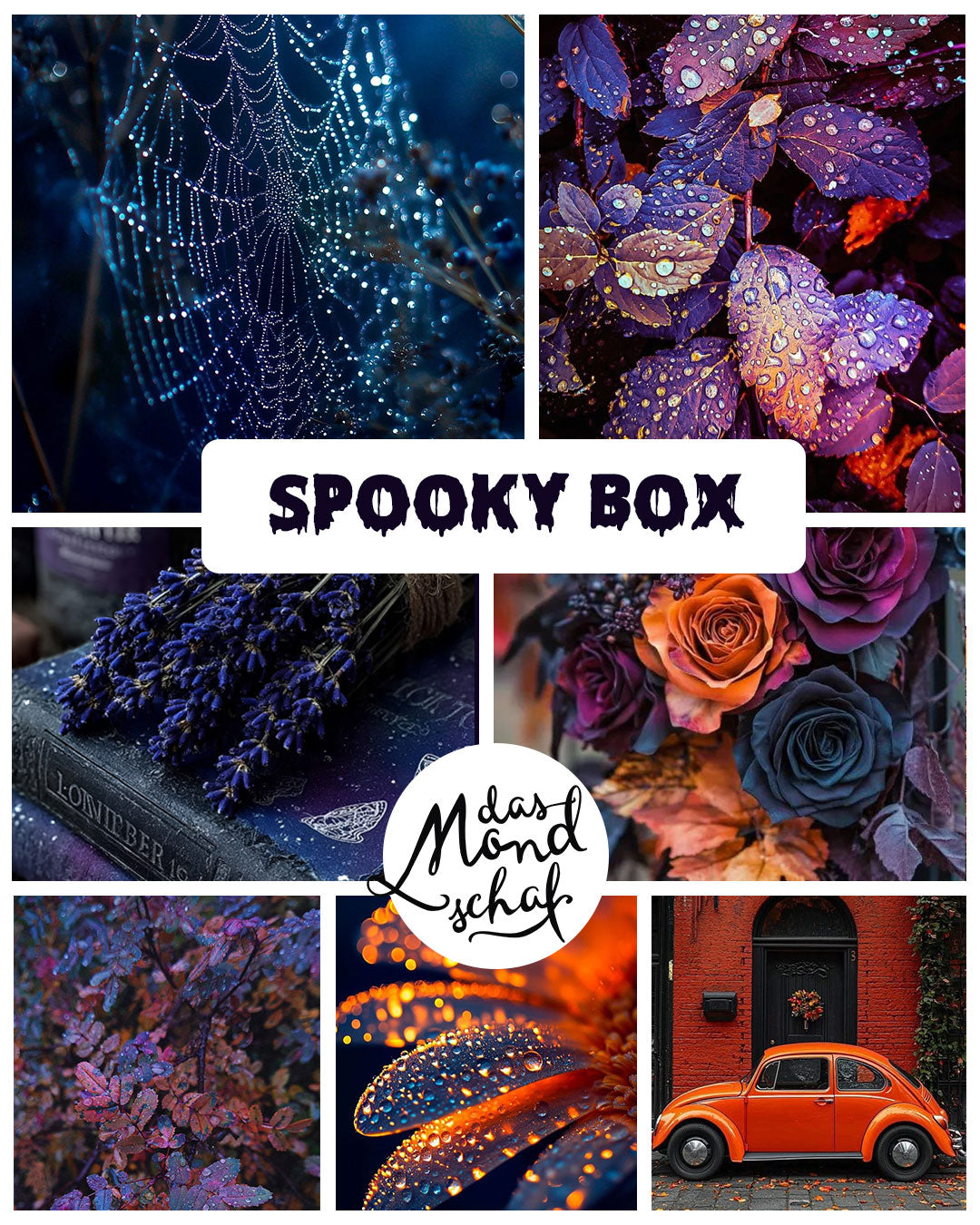 SPOOKY BOX - 12x20g Box (Versand Ende September)